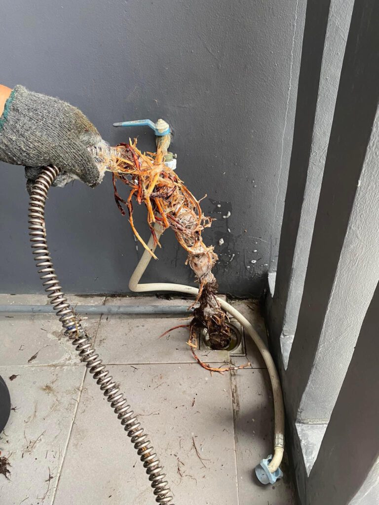 285894736_566007228515040_7352052750569162005_n